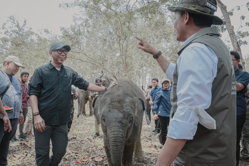 Mirza Dampingi Menhut Tinjau Mitigasi Konflik Gajah Way Kambas