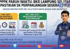 Gaji PPPK Paruh Waktu Lampung Selatan Tertunda, Ini Penyebabnya