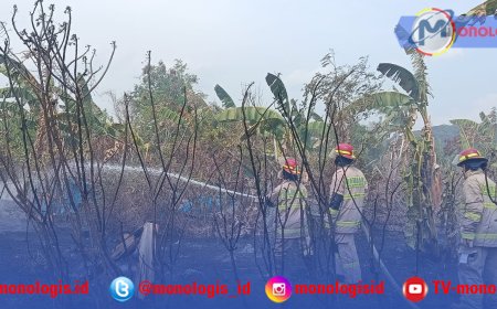 Kebakaran Lahan di Bandar Lampung Diduga Dipicu Bakar Sampah