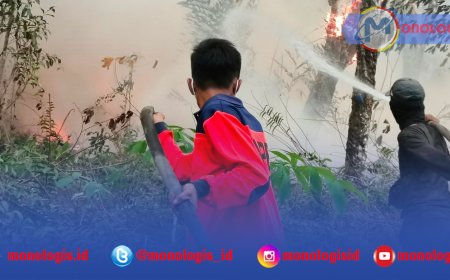 Kebakaran Lahan di Lampung, Asap Dekat Tol Menggala Berkurang