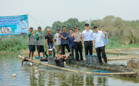 Pakan Mandiri Pangkas Biaya Budidaya Ikan 50 Persen