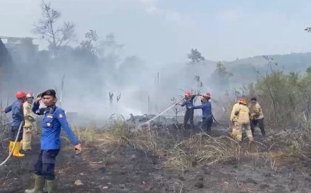 Damkarmat Bandar Lampung Kerahkan 21 Personel Padamkan Kebakaran Lahan di Garuntang