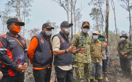 Karhutla Way Kambas, 110 Titik Api Terdeteksi