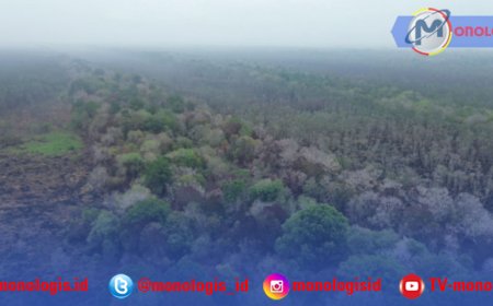 Hujan Bantu Padamkan Karhutla Way Kambas, Patroli Tetap Dilanjutkan