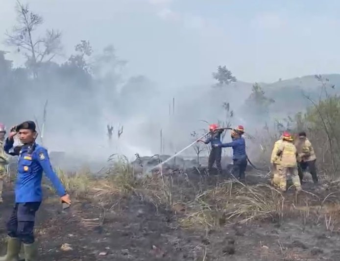Damkarmat Bandar Lampung Kerahkan 21 Personel Padamkan Kebakaran Lahan di Garuntang