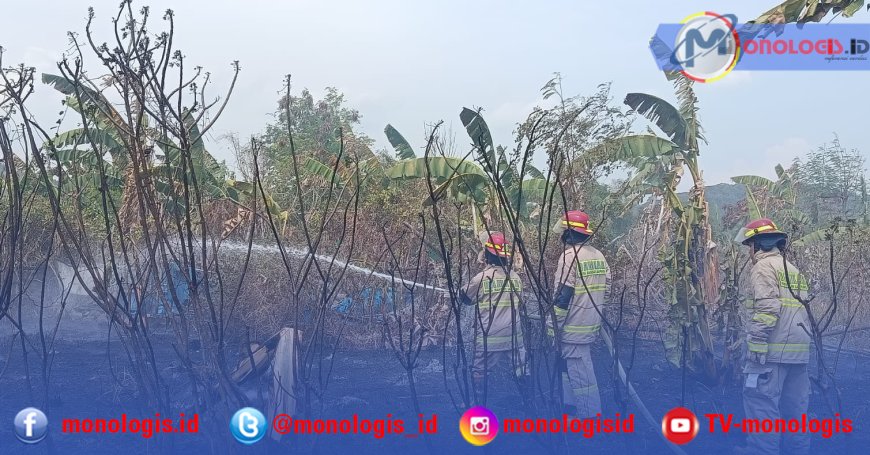 Kebakaran Lahan di Bandar Lampung Diduga Dipicu Bakar Sampah