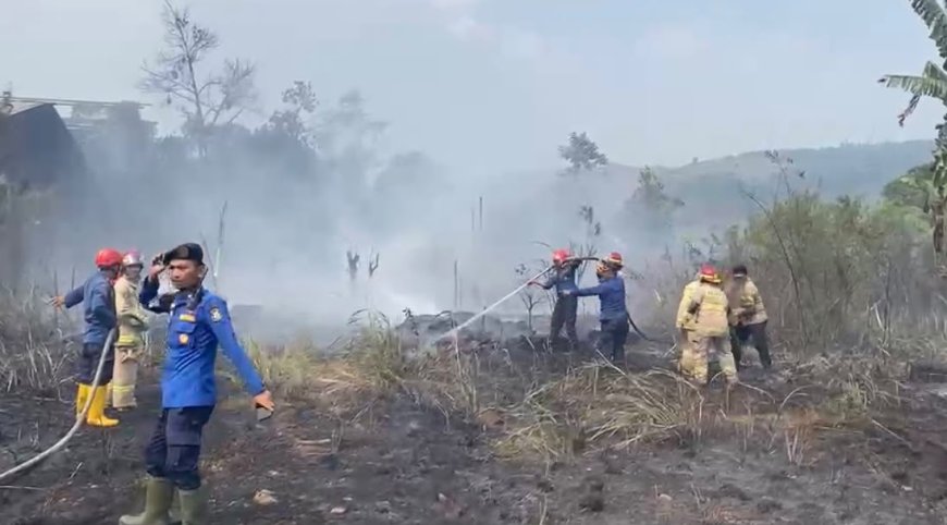 Damkarmat Bandar Lampung Kerahkan 21 Personel Padamkan Kebakaran Lahan di Garuntang